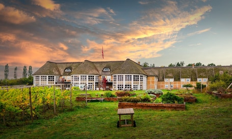 Terrace/patio. Thon Hotel Sorø