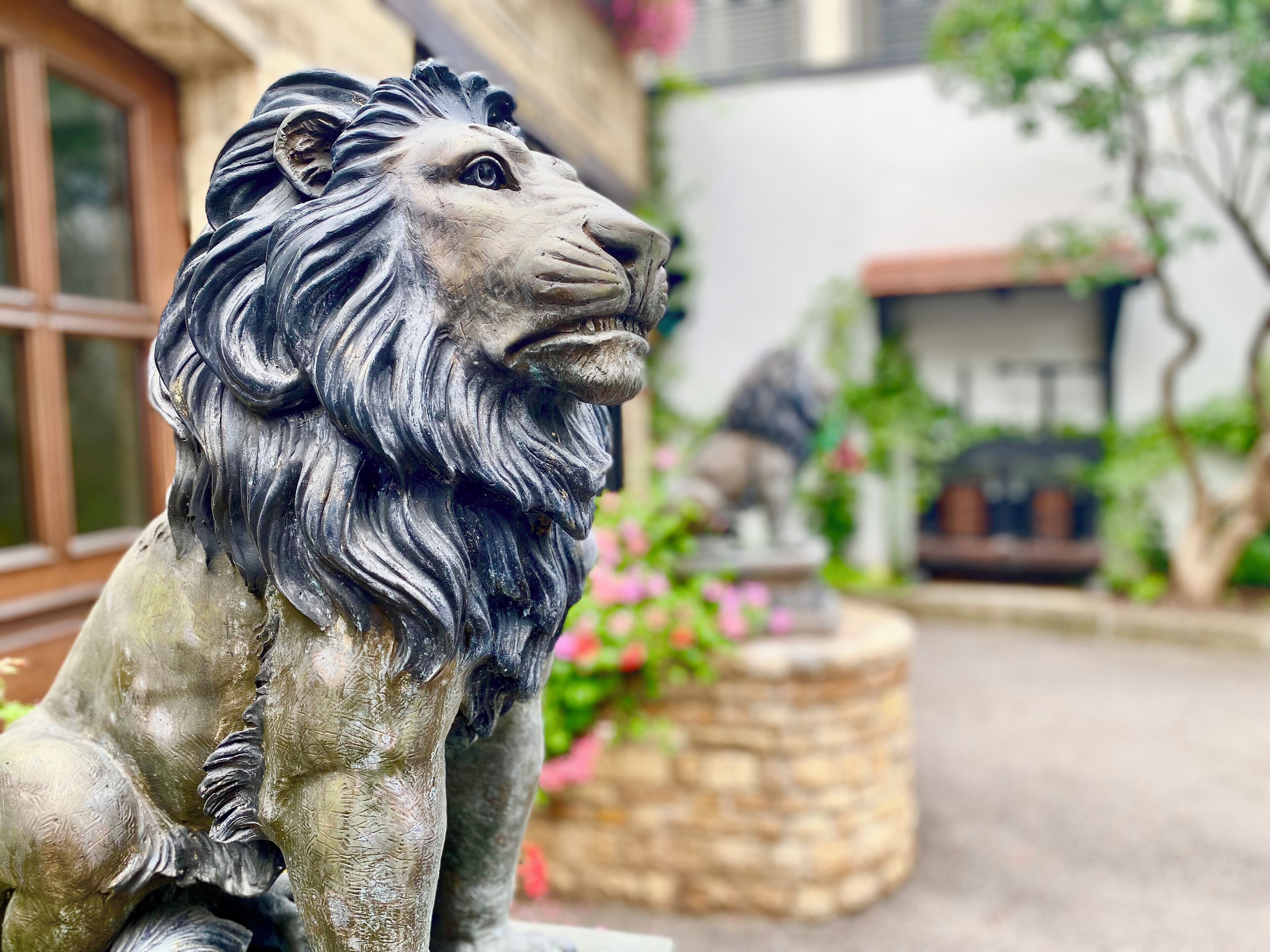 Foto - Zur Weinsteige