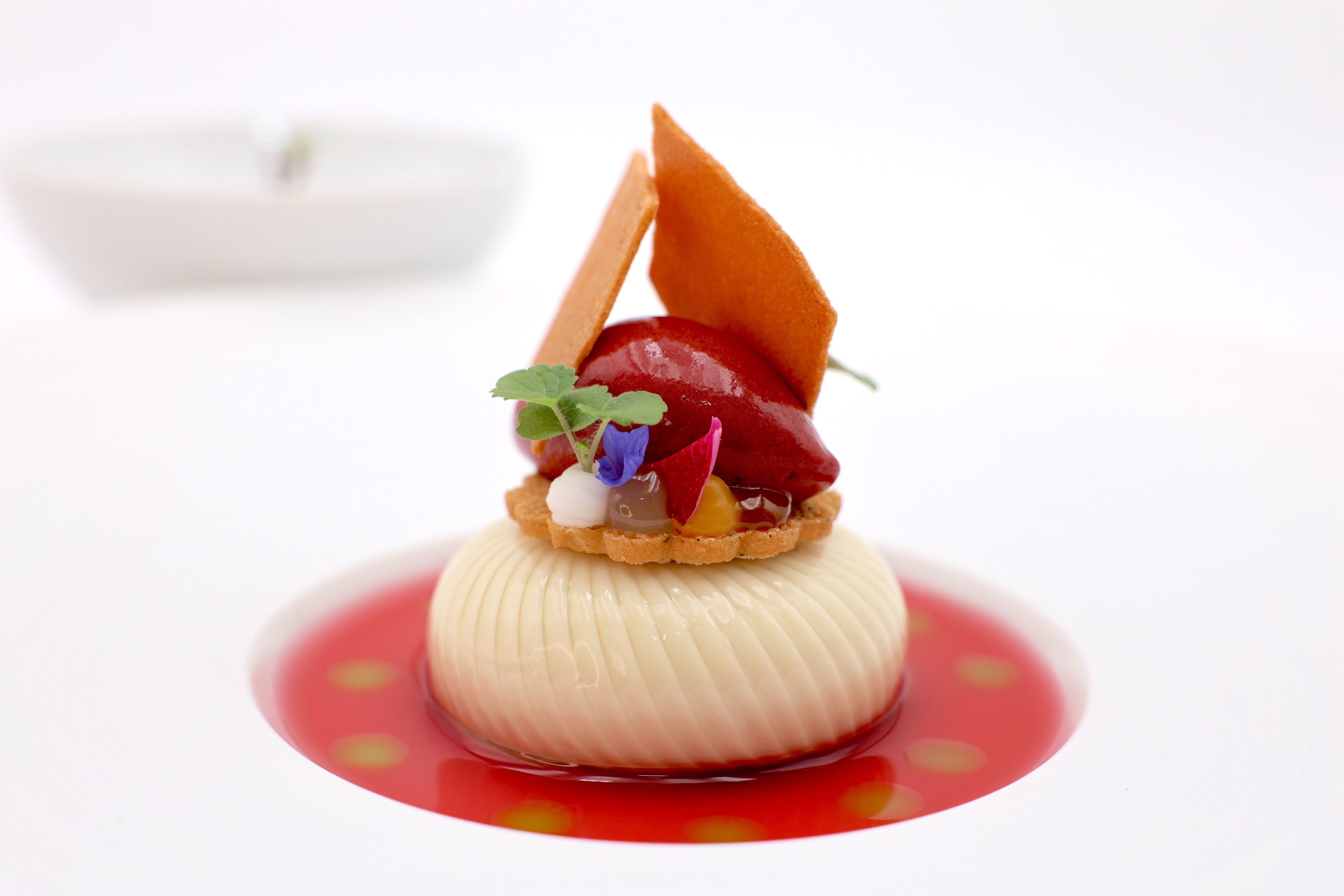 A dessert with a creamy base, topped with a fruit and a leaf, on a white plate with a red sauce.
