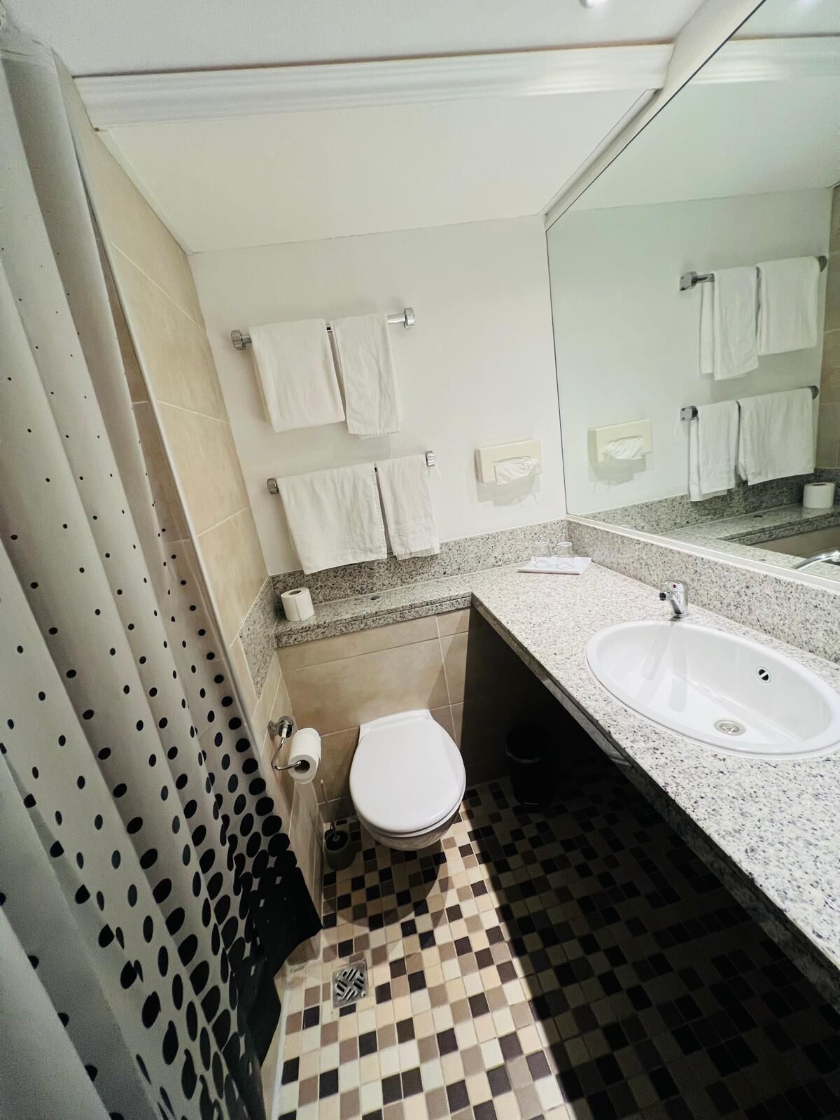 Dusj, hårføner og håndklær