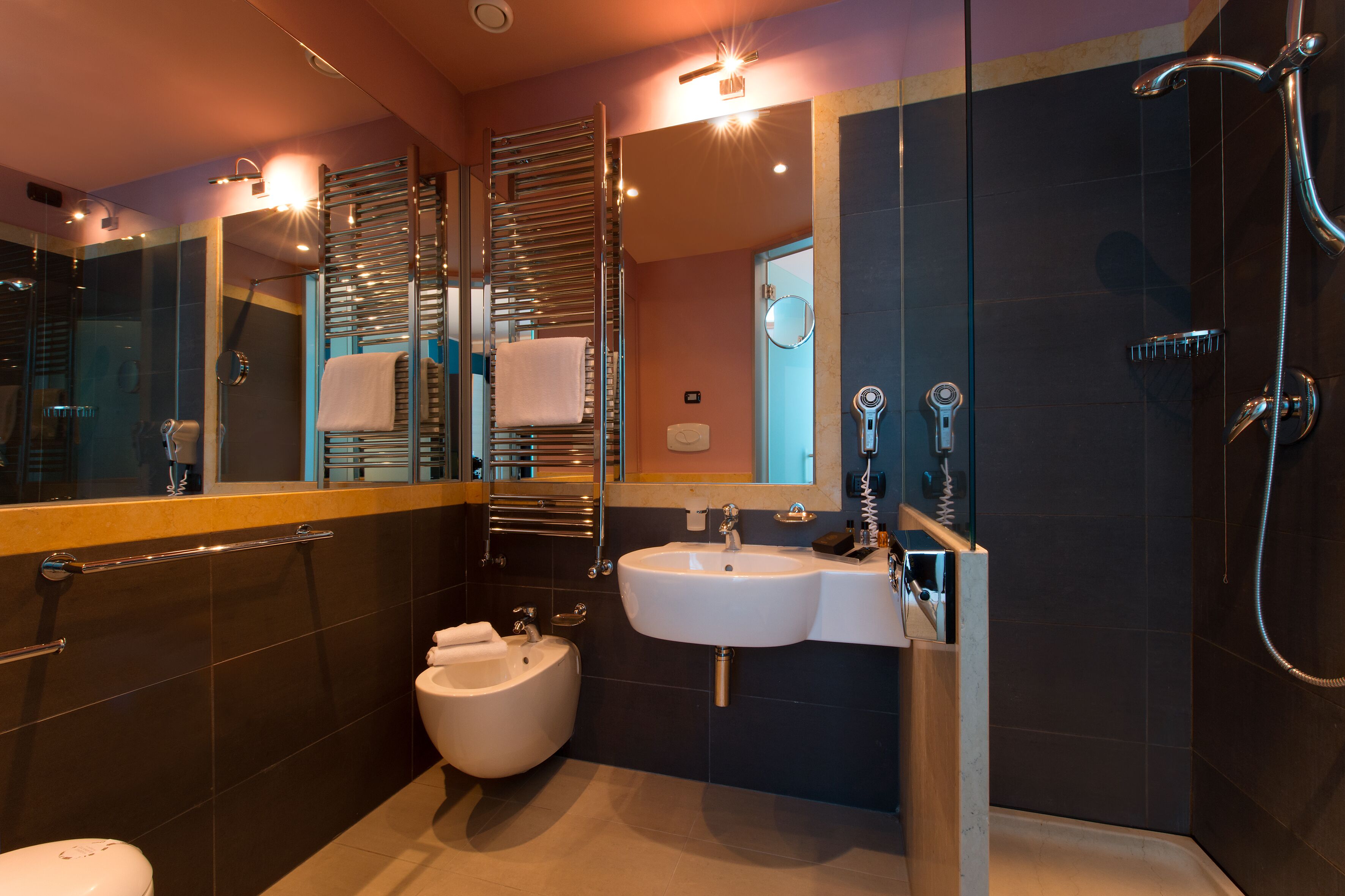 shower, free toiletries, hair dryer, bidet