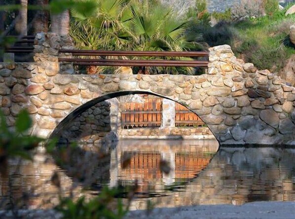 Vistas al lago