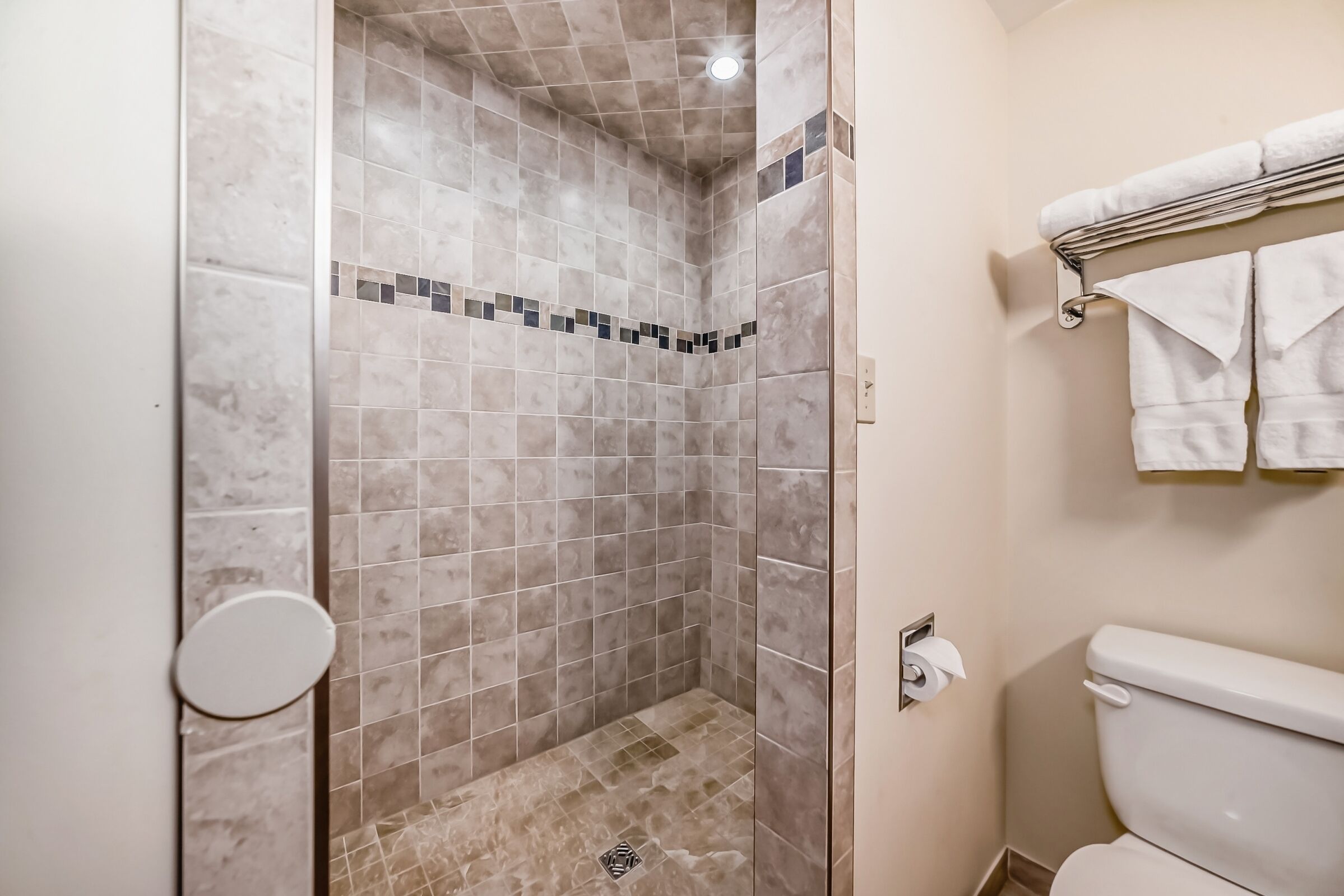 A bathroom with a shower area, a toilet, and a towel rack.