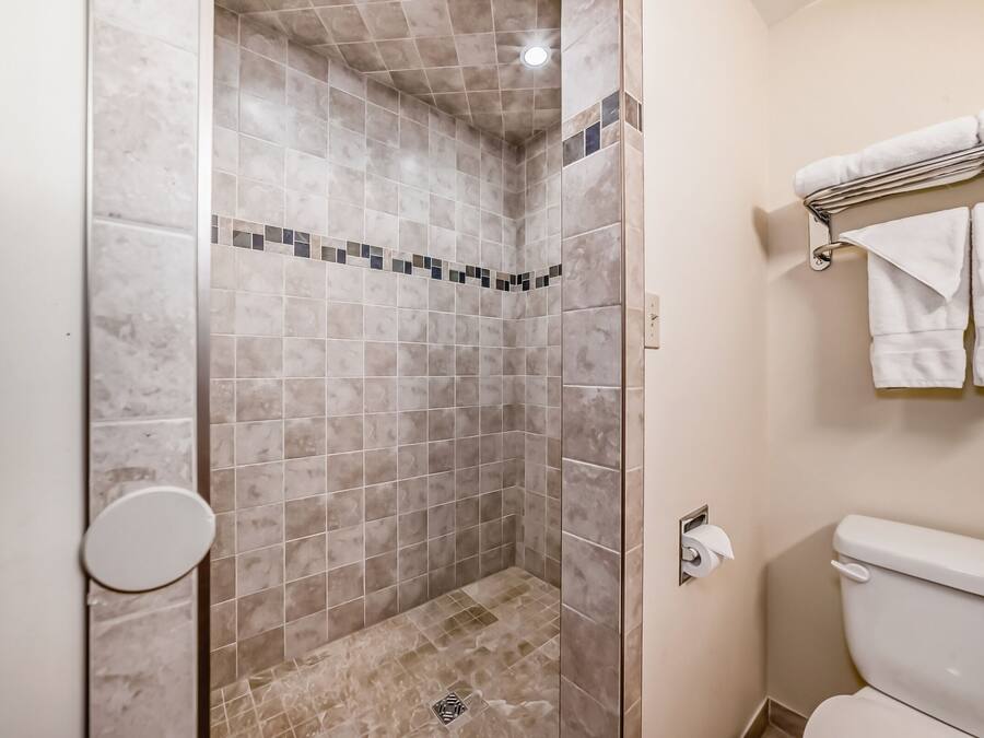A bathroom with a shower area, a toilet, and a towel rack.