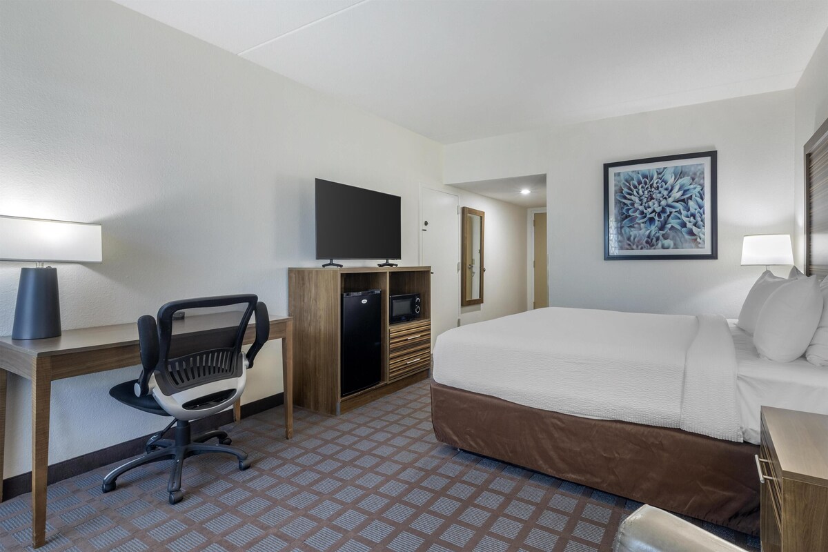 A hotel room with a bed, desk, chair, TV, minibar, and artwork on the wall.