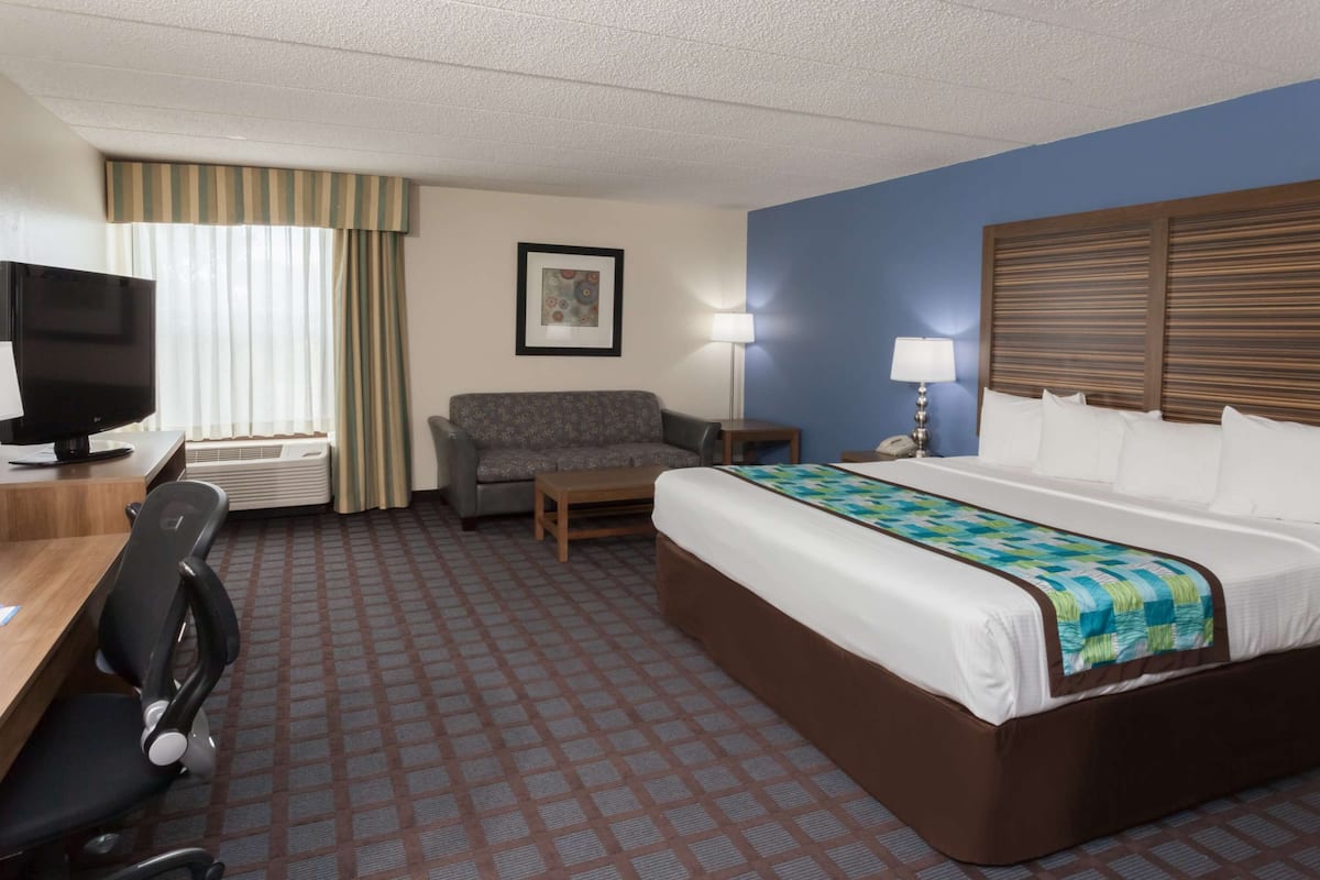 Standard Room, 1 King Bed, Non Smoking, Refrigerator & Microwave (Larger Room;with Sofabed)