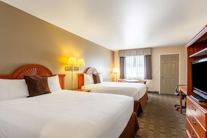 Ropa de cama de alta calidad, escritorio y cortinas blackout