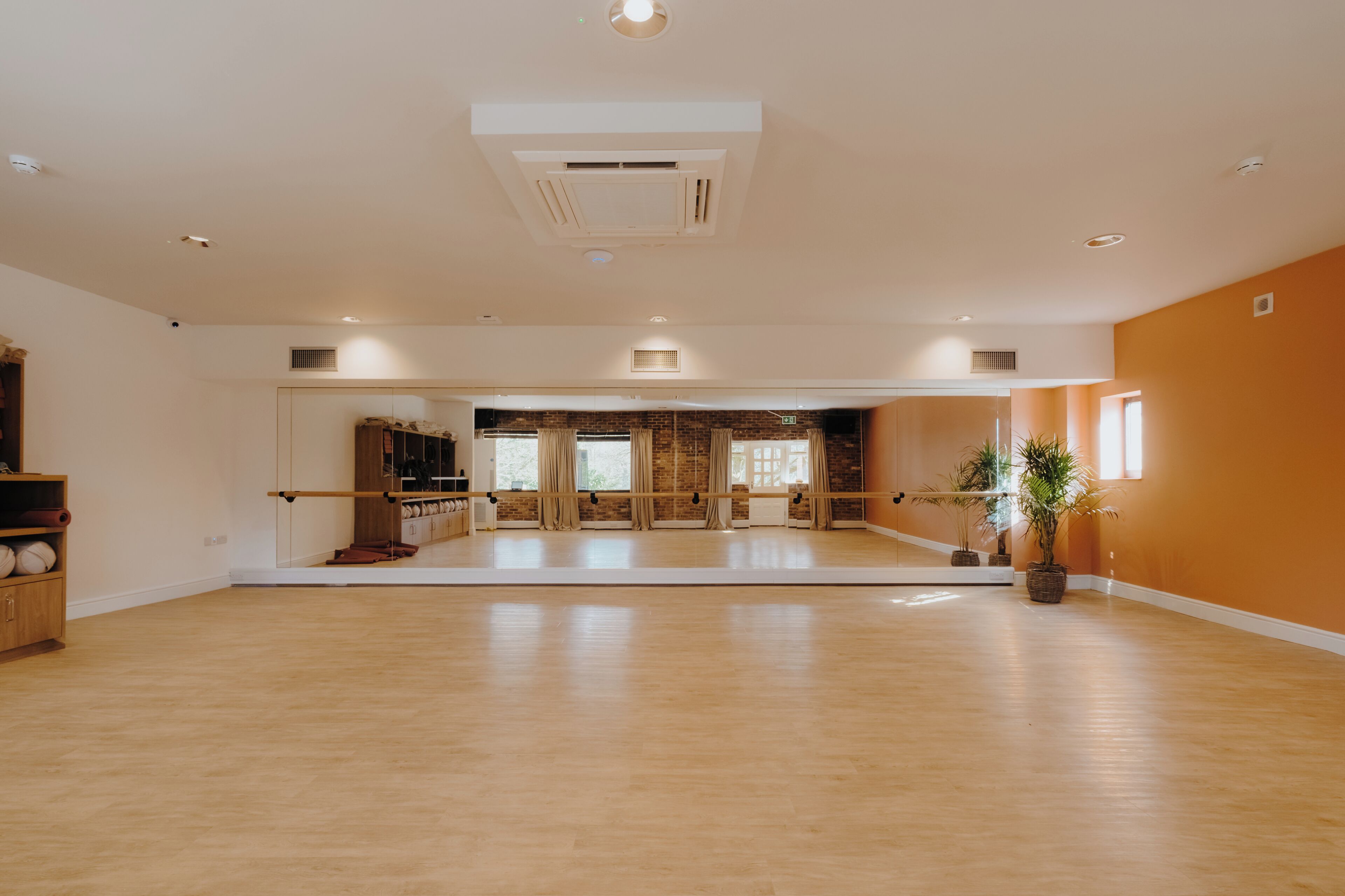 A spacious room with a large mirror, wooden flooring, a ballet barre, and a potted plant.