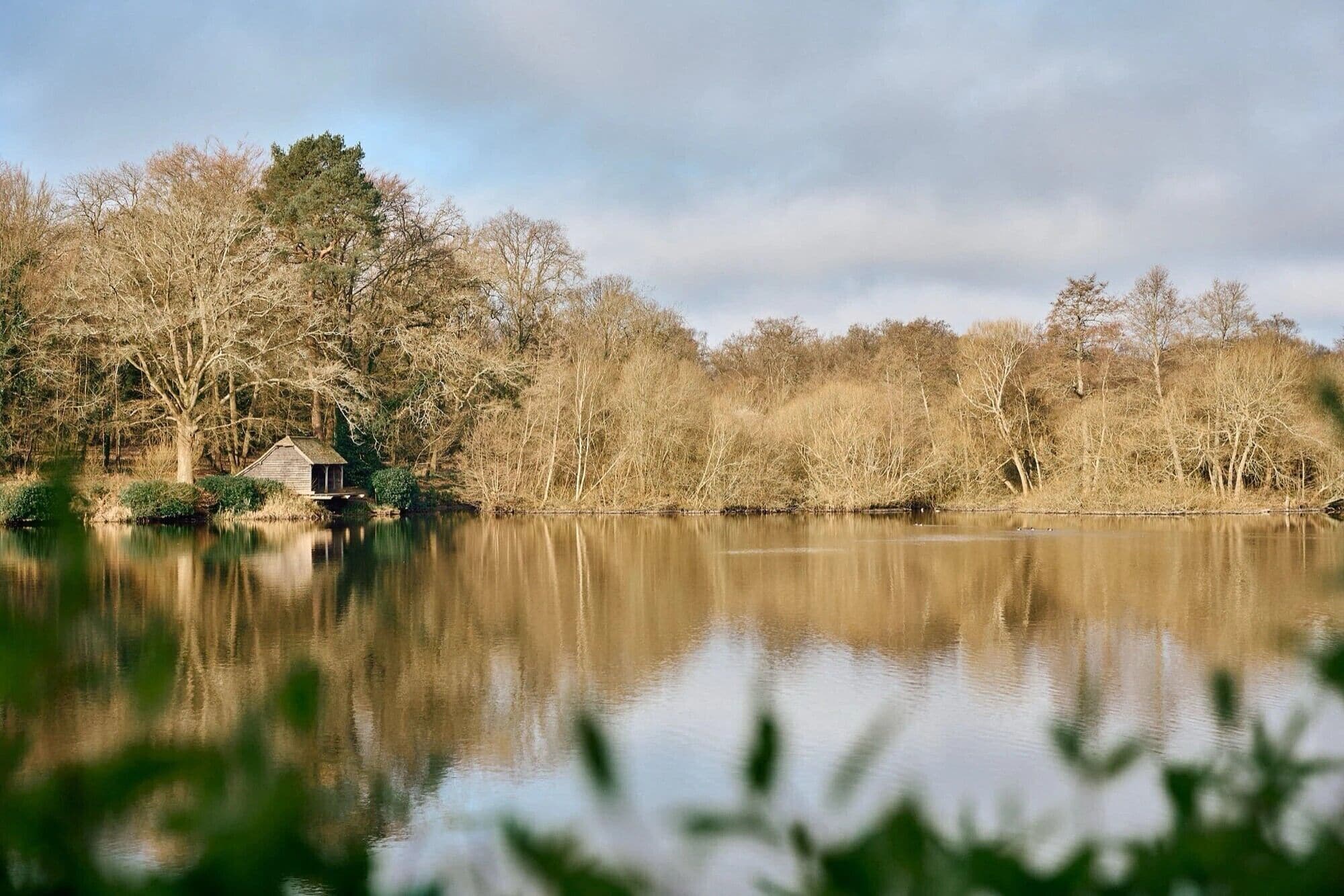 Seasonal outdoor pool, pool umbrellas, sun loungers
