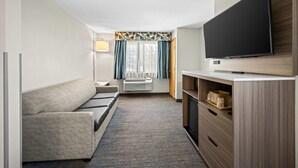 Habitación de hotel con sofá, televisión de pantalla plana, armario y ventana con cortinas.