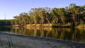 A serene lakeside scene with a sandy shore, dense trees, and calm water reflecting the sky.