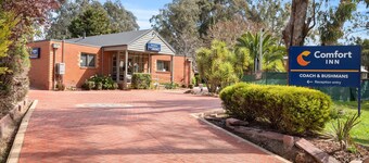 Comfort Inn Coach & Bushmans