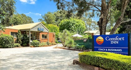 Comfort Inn Coach & Bushmans