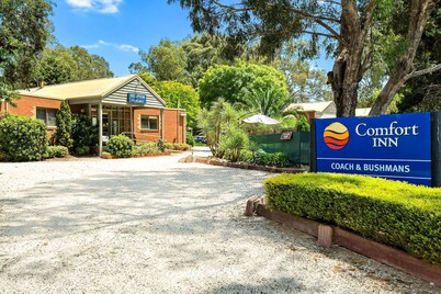 Comfort Inn Coach & Bushmans