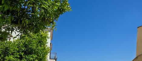 Alberca al aire libre y camastros