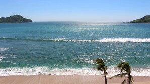 A beach with clear blue water, waves, and two palm trees.