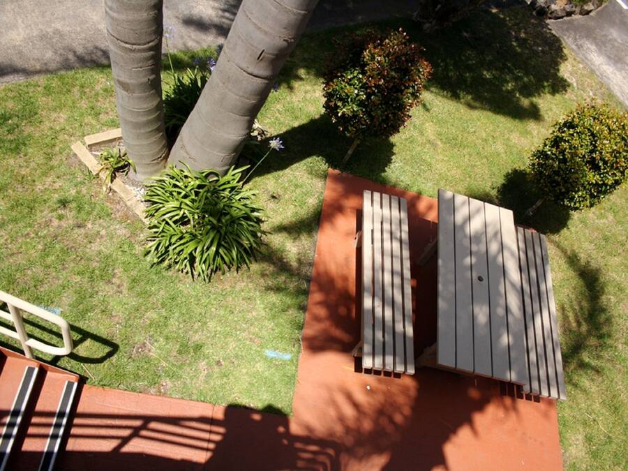 Uma área de pátio com deck de madeira, um pequeno jardim com plantas e uma palmeira.