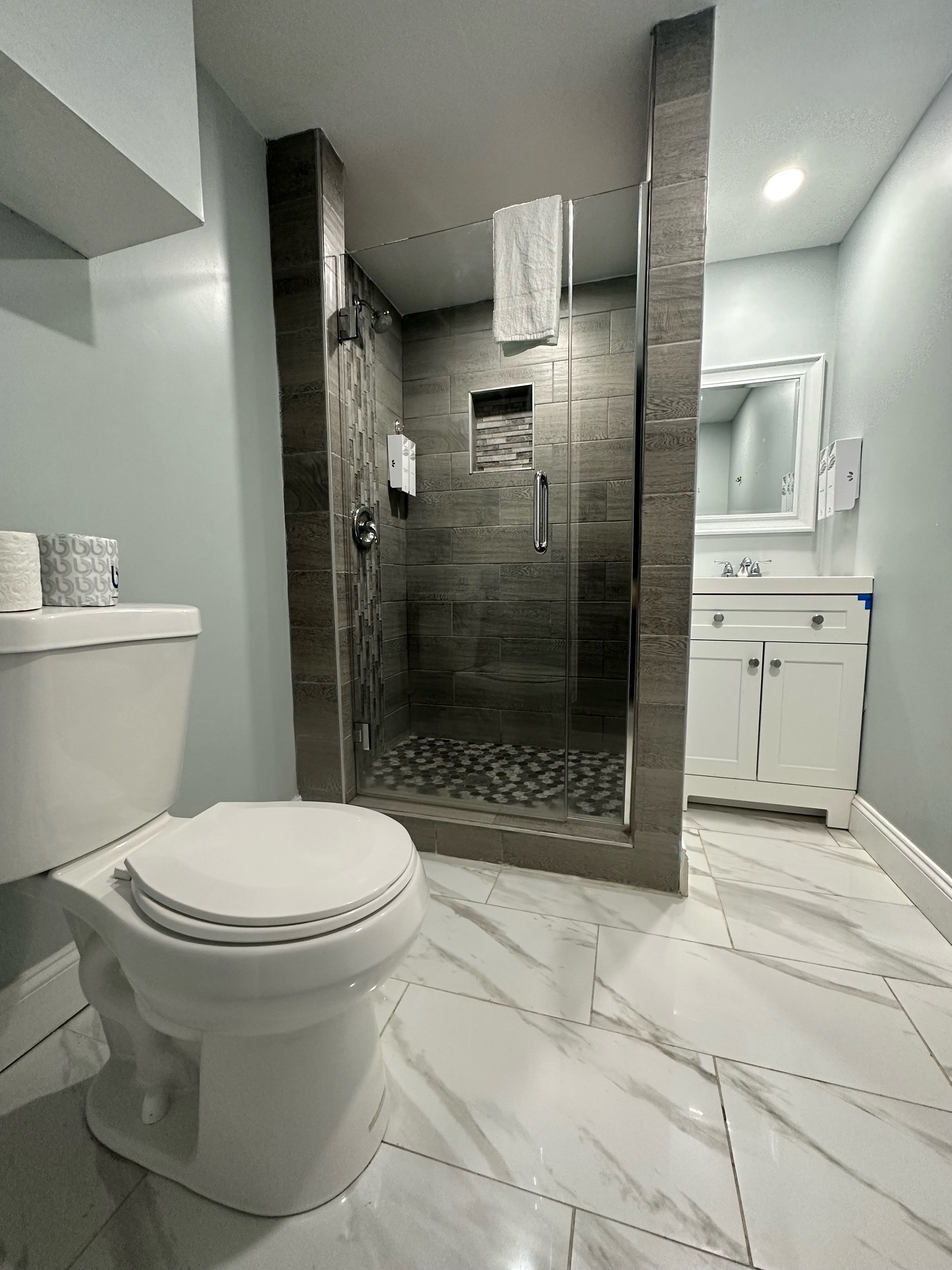 A modern bathroom with a toilet, a shower with glass doors, and a vanity with a mirror.