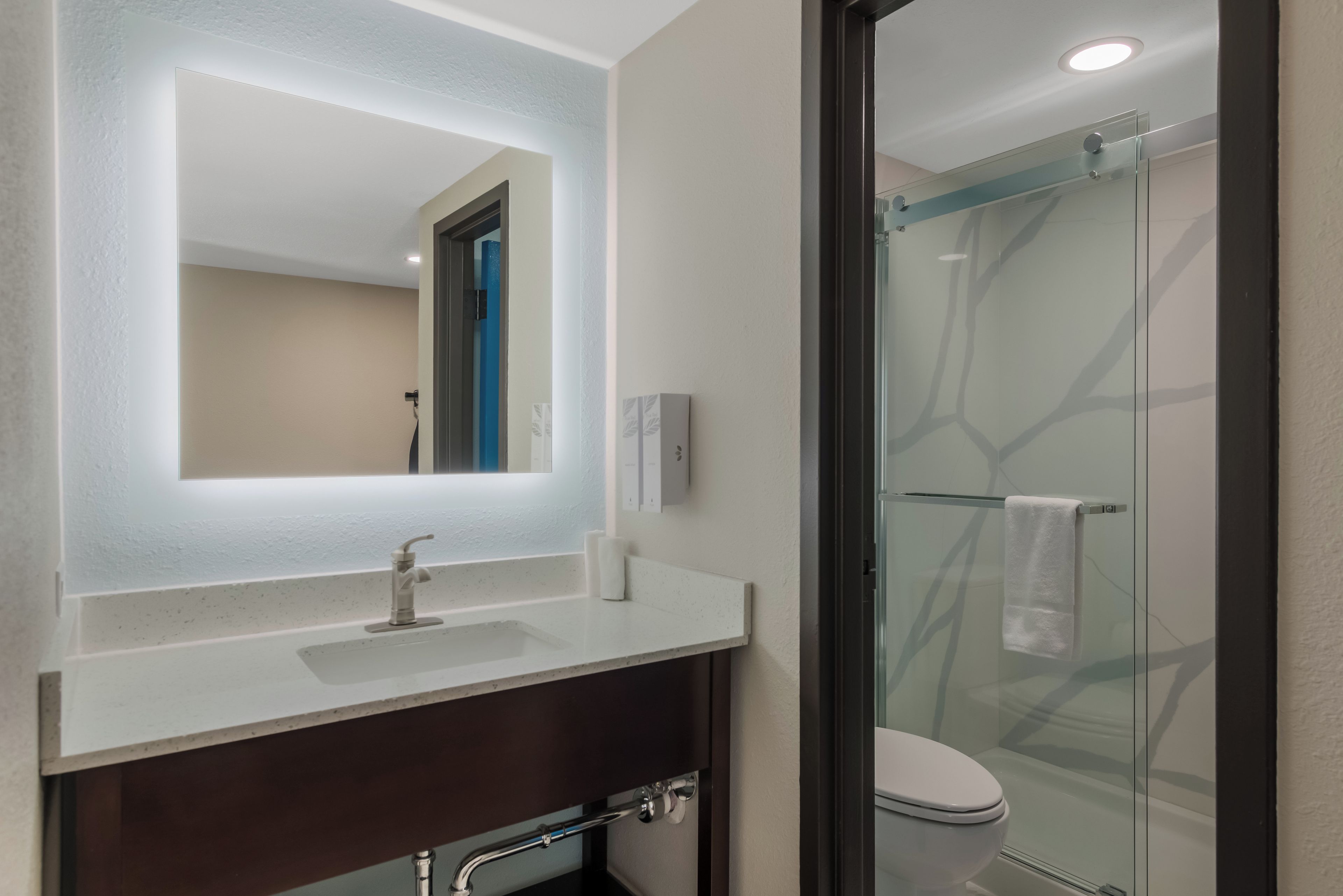 A modern bathroom with a glass shower enclosure, a white sink, and a large mirror.