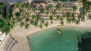 Vista aérea de una playa con filas de palmeras, una orilla arenosa y un bote en el agua.