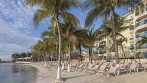 Ein Strand mit Liegestuhlreihen und Palmen, ein Gebäude mit Balkonen sowie ein klarer Himmel.