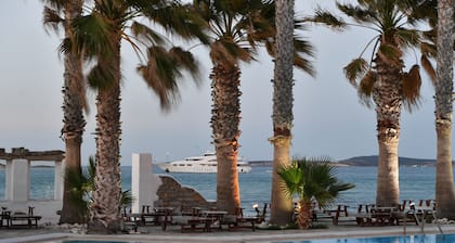 Astir Of Paros