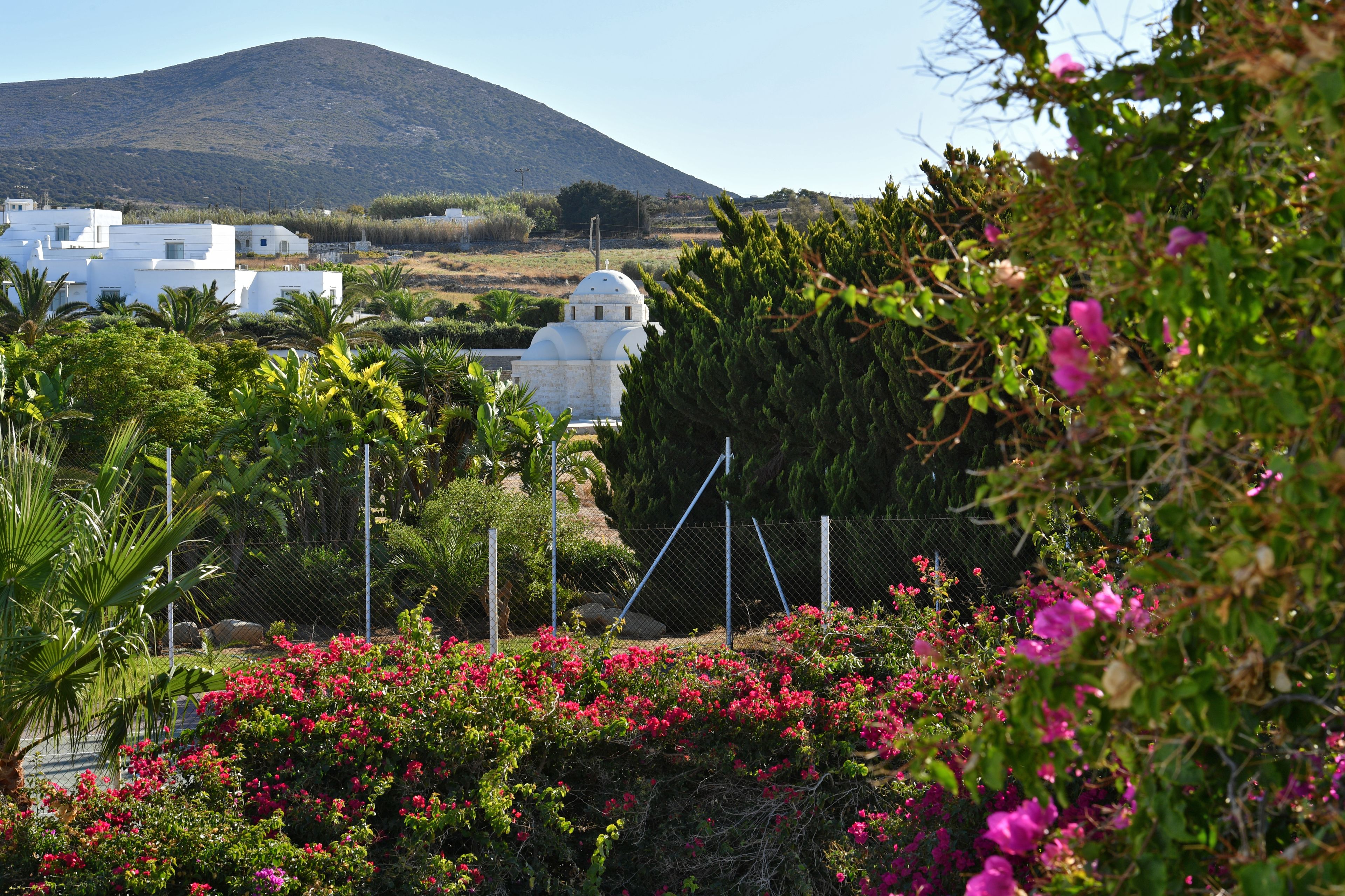 A white building with a dome, surrounded by lush greenery and pink flowers.