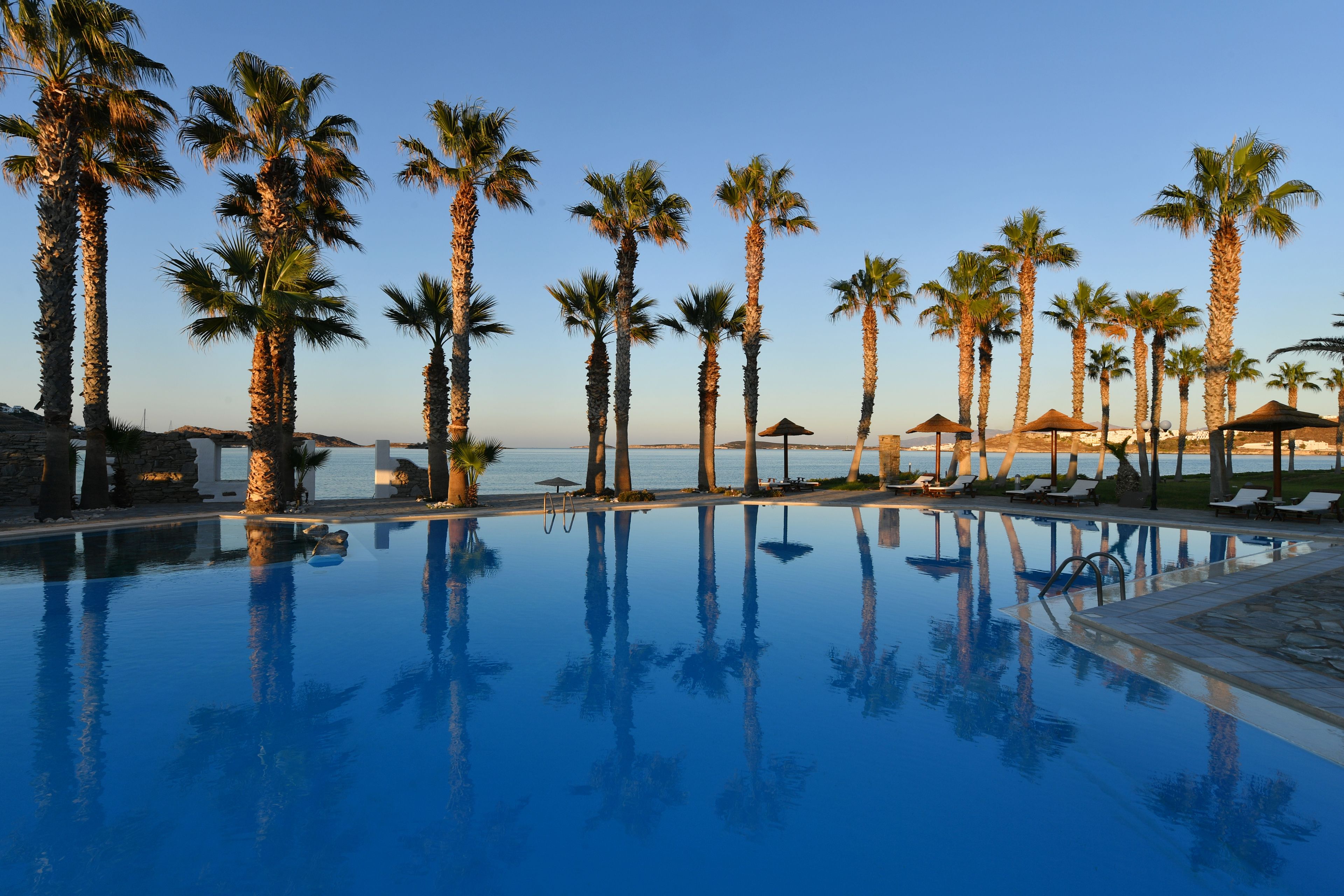 A pool with palm trees and lounge chairs, surrounded by a clear sky.