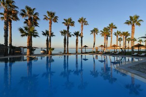Una piscina rodeada de palmeras y sillas de descanso, bajo un cielo despejado.
