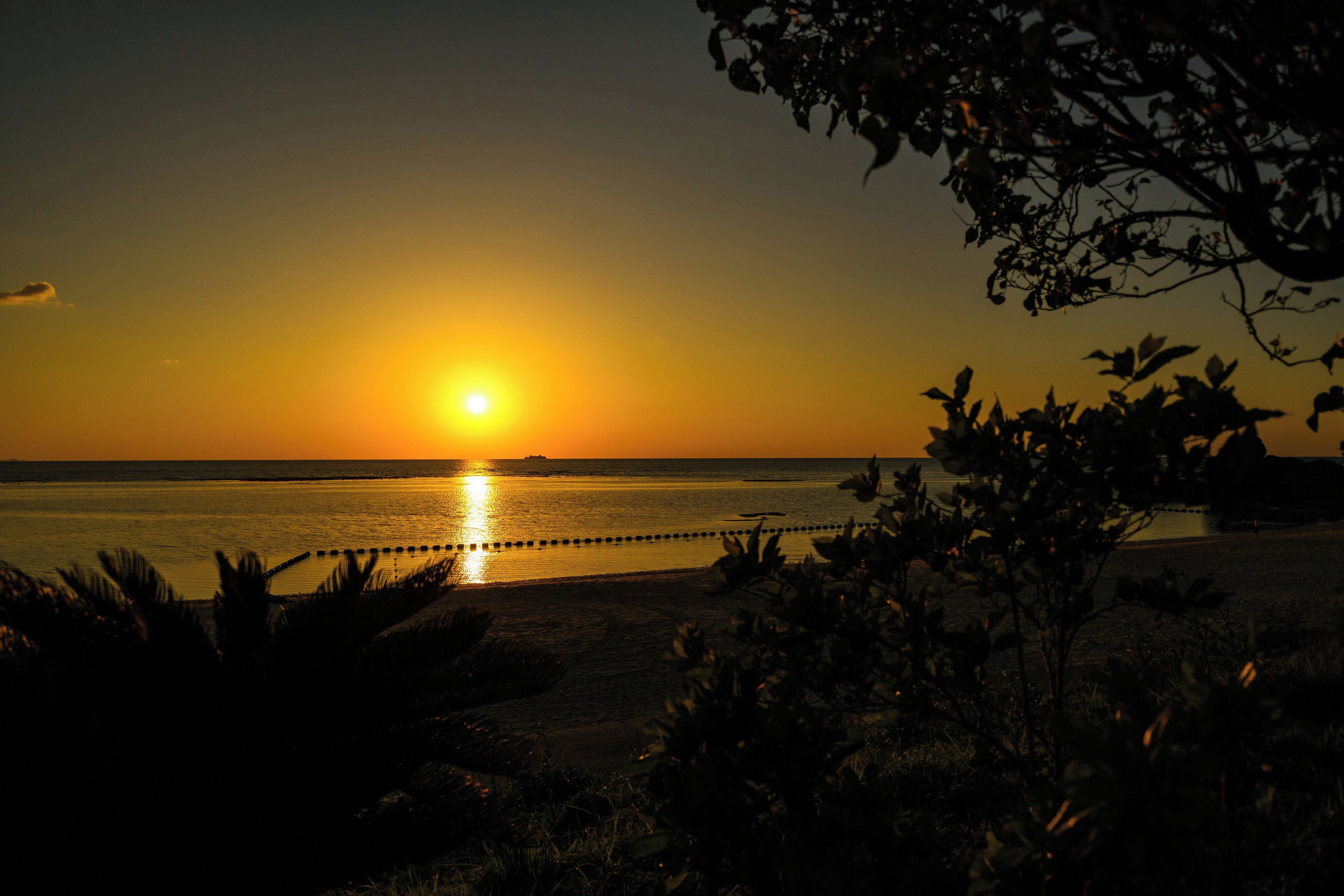 Ein Sonnenuntergang über ruhigem Meer mit einem Schiffen im Hintergrund, einer Wellenbrecher und silhouettenhaften Pflanzen.