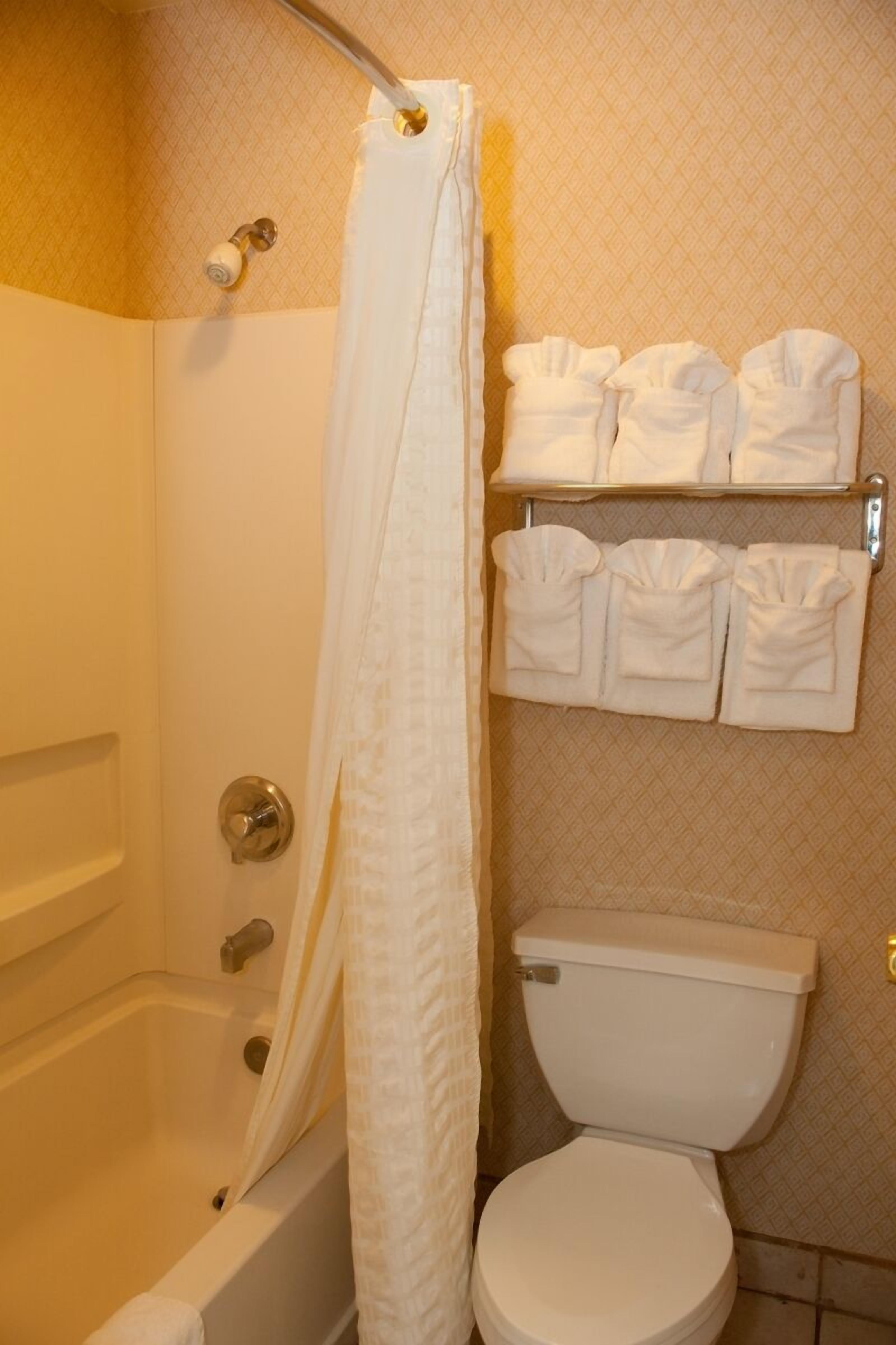 combined shower/bathtub, deep-soaking bathtub, free toiletries