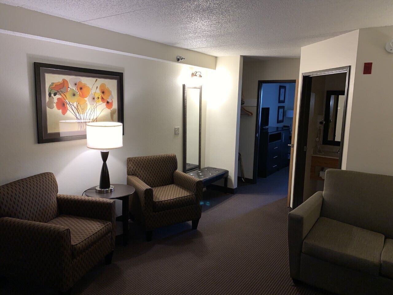 suite, 1 bedroom, non smoking | living room | tv, printers