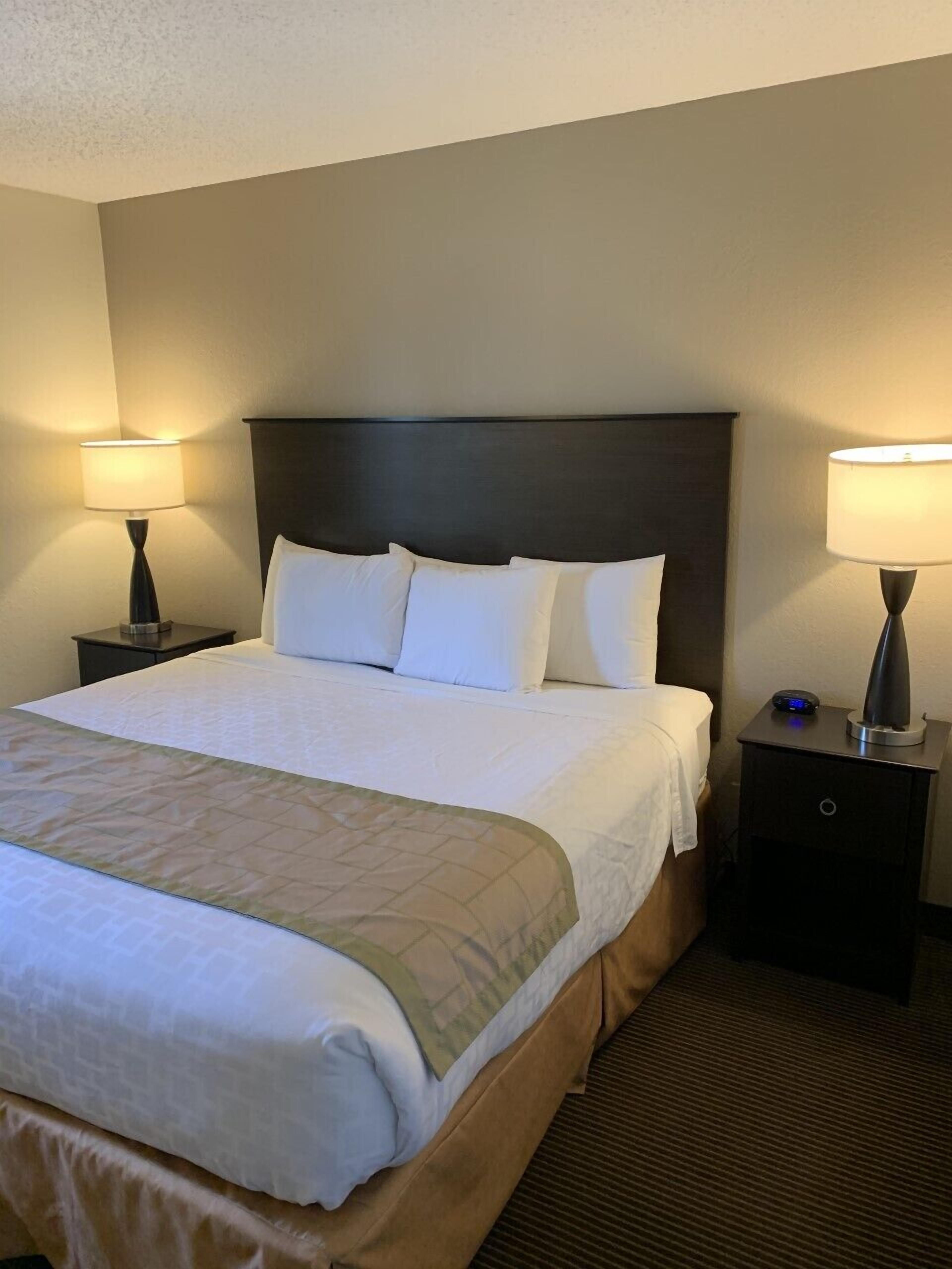 suite, 1 queen bed, non smoking | desk, iron/ironing board, free cots/infant beds, free wifi