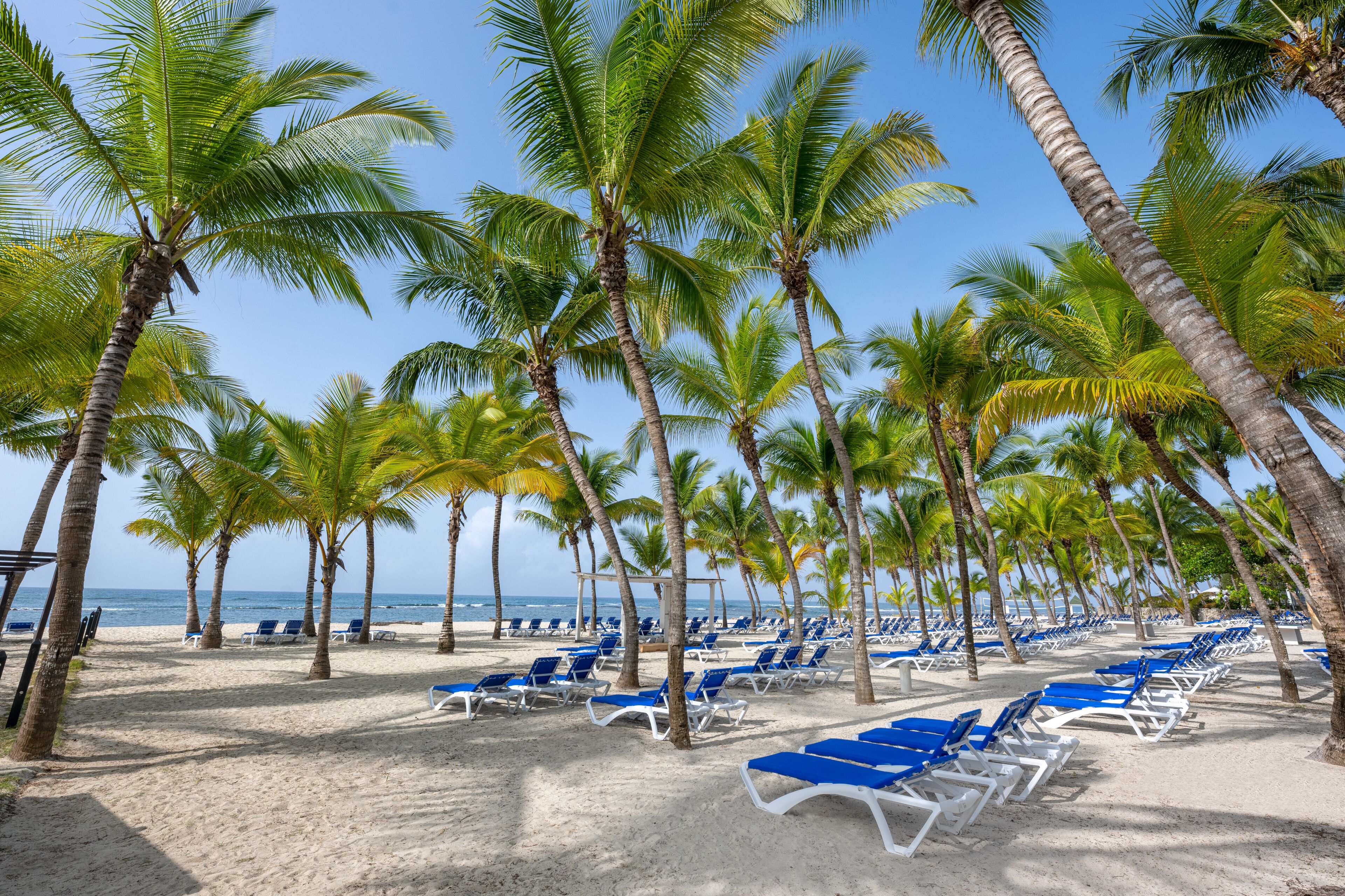 On the beach, white sand, sun-loungers, beach umbrellas