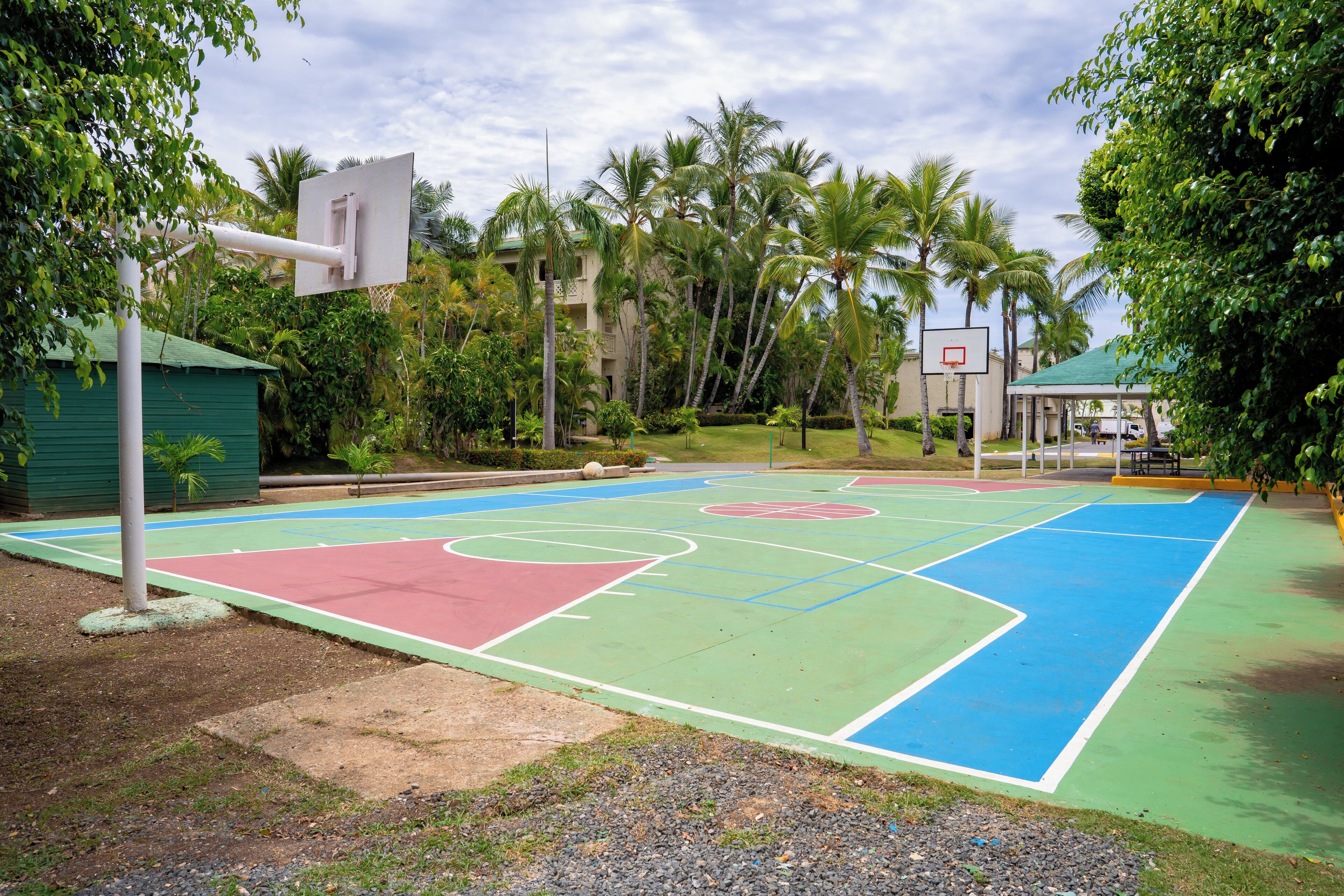 En udendørs basketballbane med en spilleflade i grøn, rød og blå, omgivet af palmer og en bygning i baggrunden.