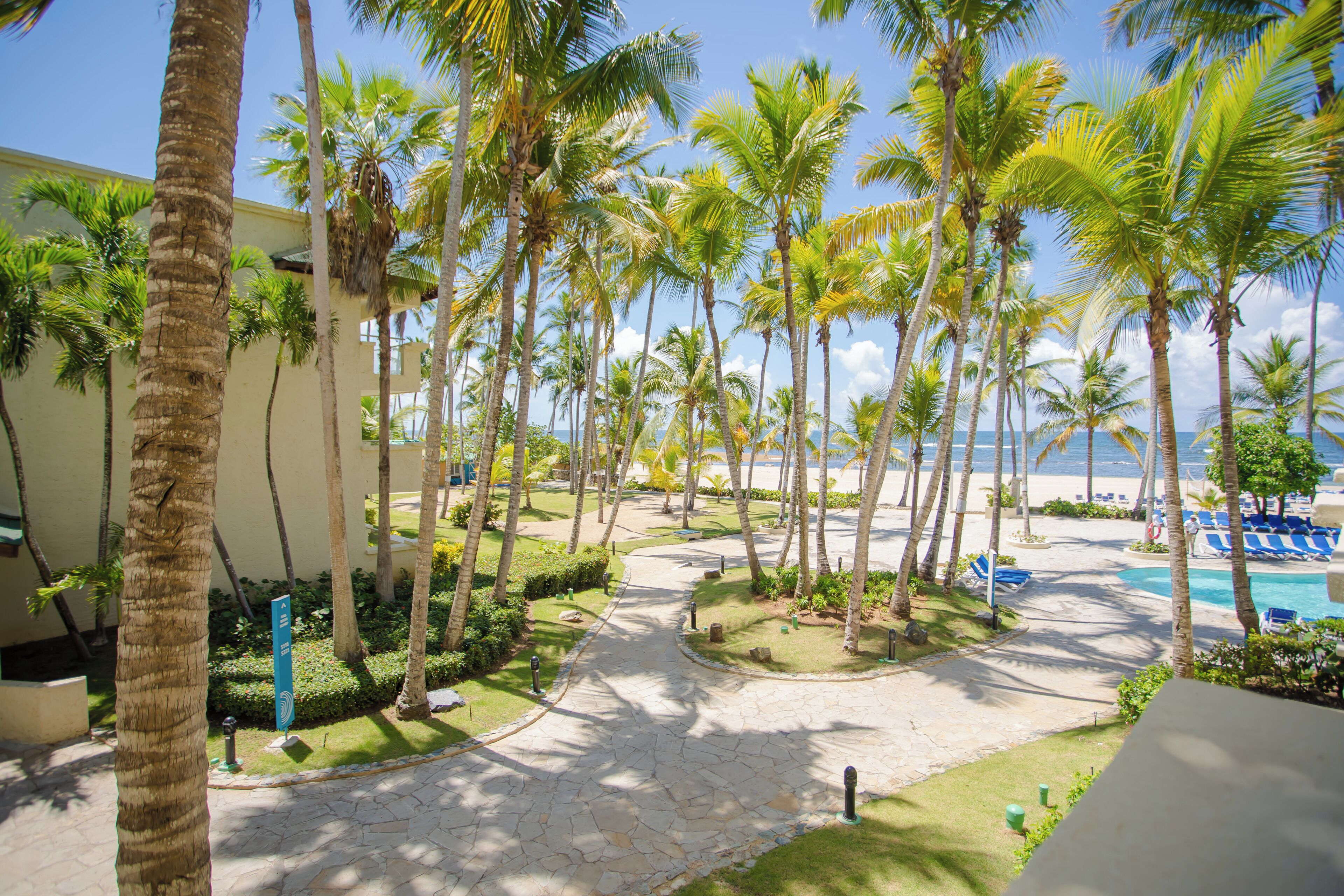 A resort with a stone pathway, palm trees, and a pool area.
