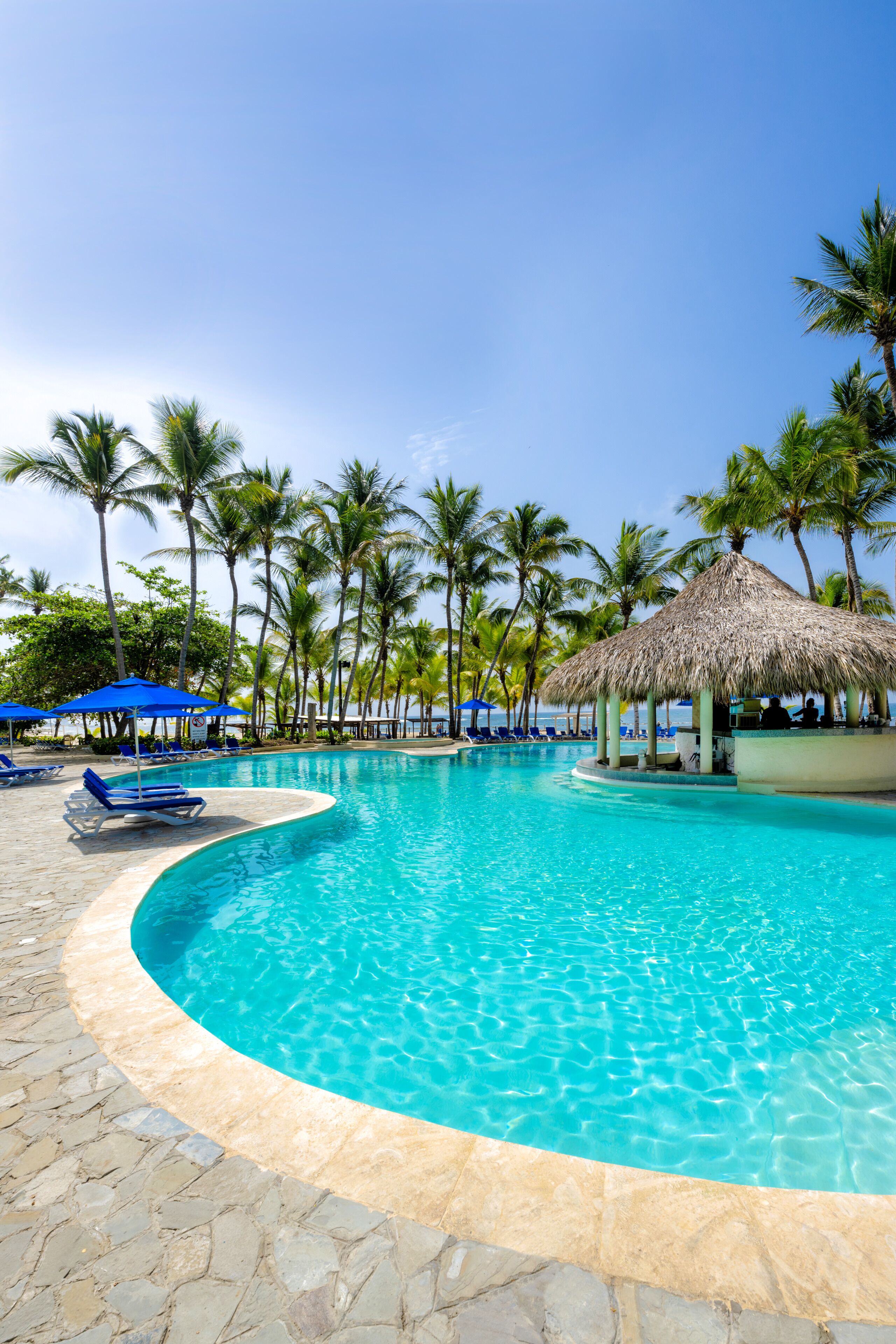 A pool with clear blue water, surrounded by lounge chairs and umbrellas, with palm trees in the background.