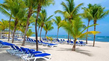 Une plage bordée de rangées de chaises longues bleues et de palmiers.