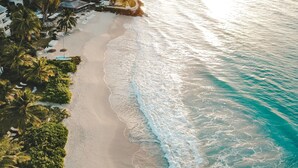 An aerial view of a beach with a resort area, including palm trees and beach umbrellas. - Bougainvillea Barbados (Maxwell)