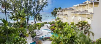 Bougainvillea Barbados