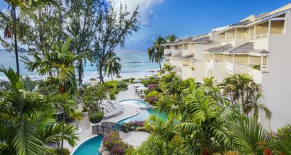 Bougainvillea Barbados