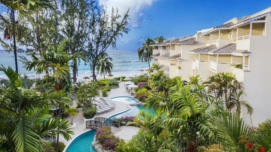 Bougainvillea Barbados