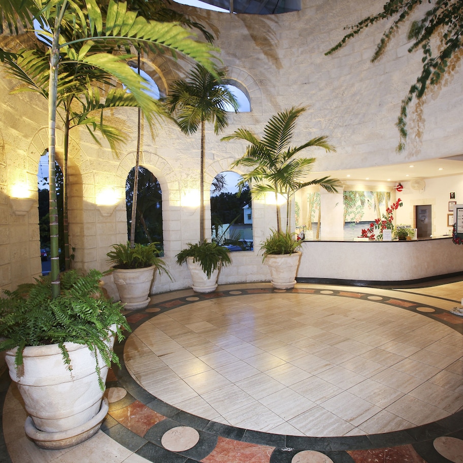 A lobby with a circular tiled floor, potted plants, and a reception desk.