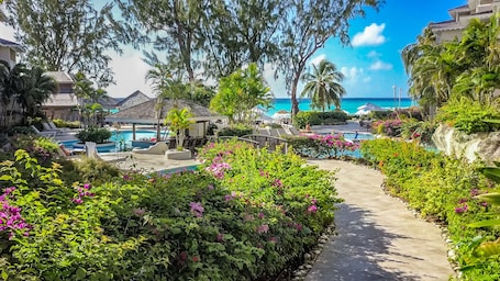 Exterior. Bougainvillea Barbados