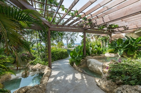 Exterior. Bougainvillea Barbados