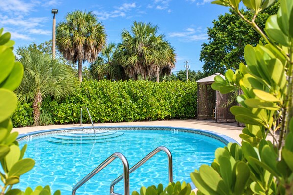 A clear blue swimming pool with a metal ladder, surrounded by lush greenery and palm trees.