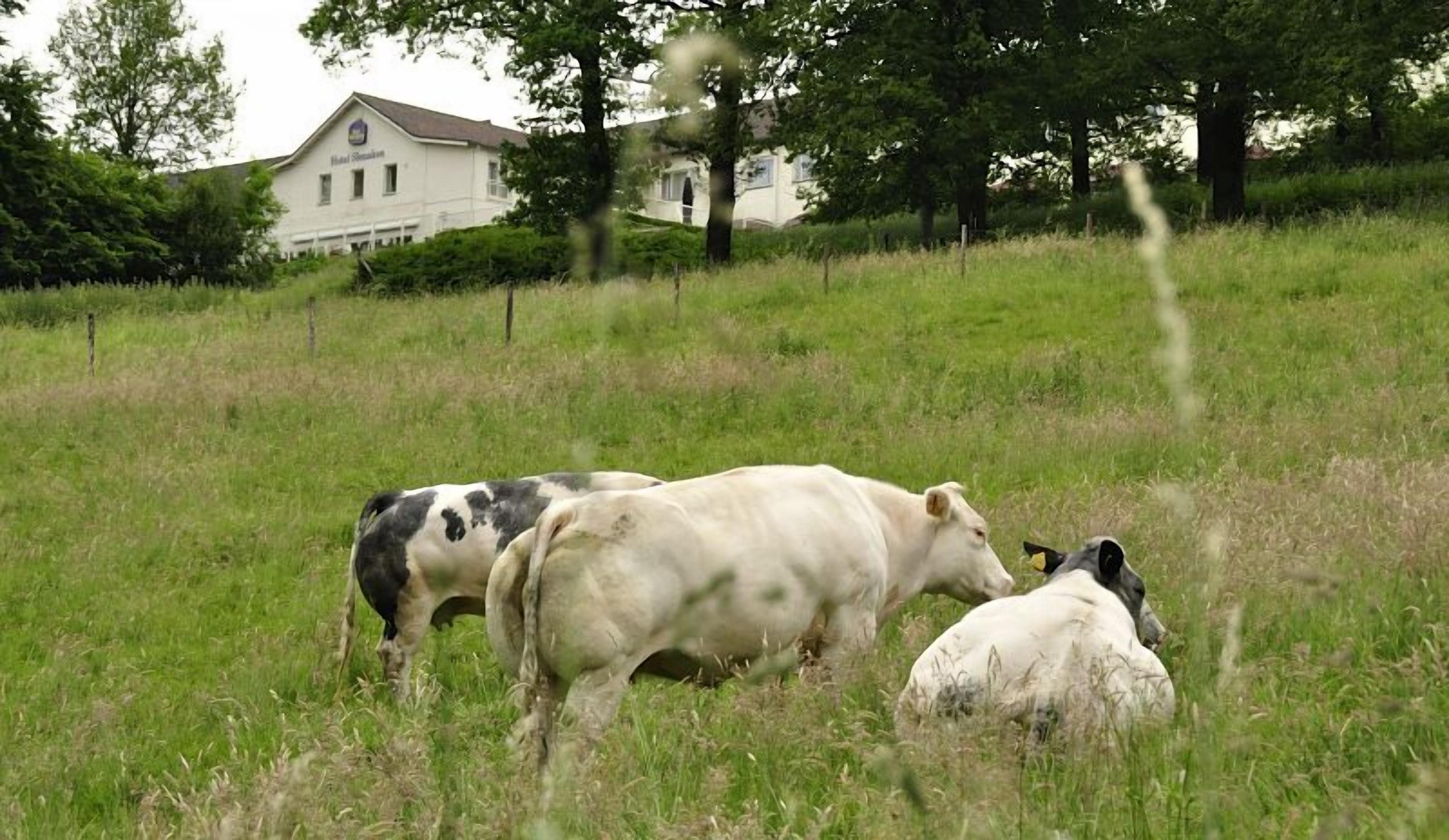 Photo - Best Western Hotel Slenaken