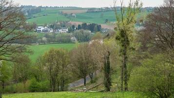 Vista desde la habitación