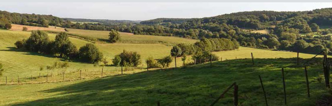 A rural landscape with rolling hills, scattered trees, and a fence line.