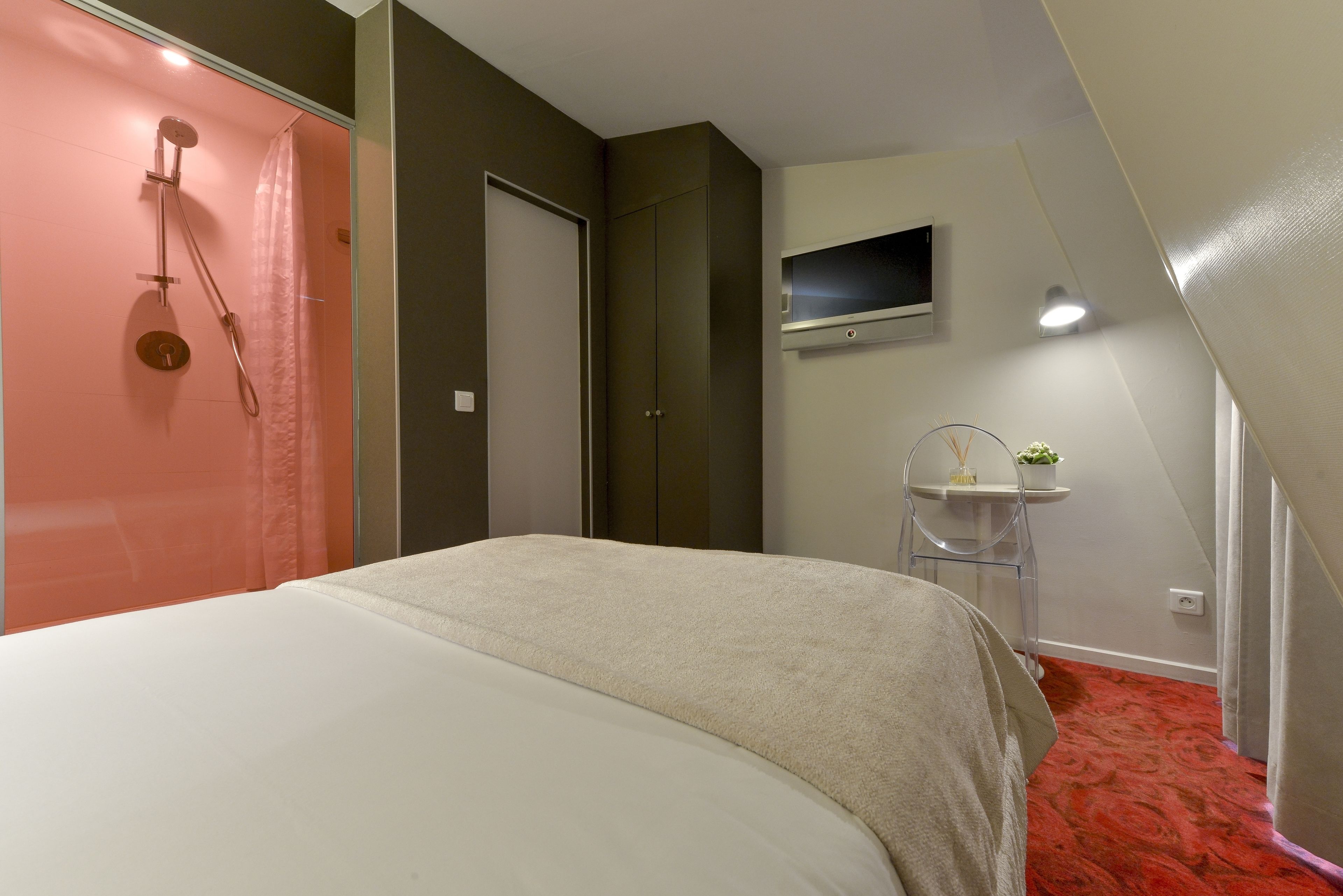 A bedroom with a bed, a shower, a TV, and a small table with a plant.